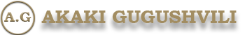 AKAKI GUGUSHVILI